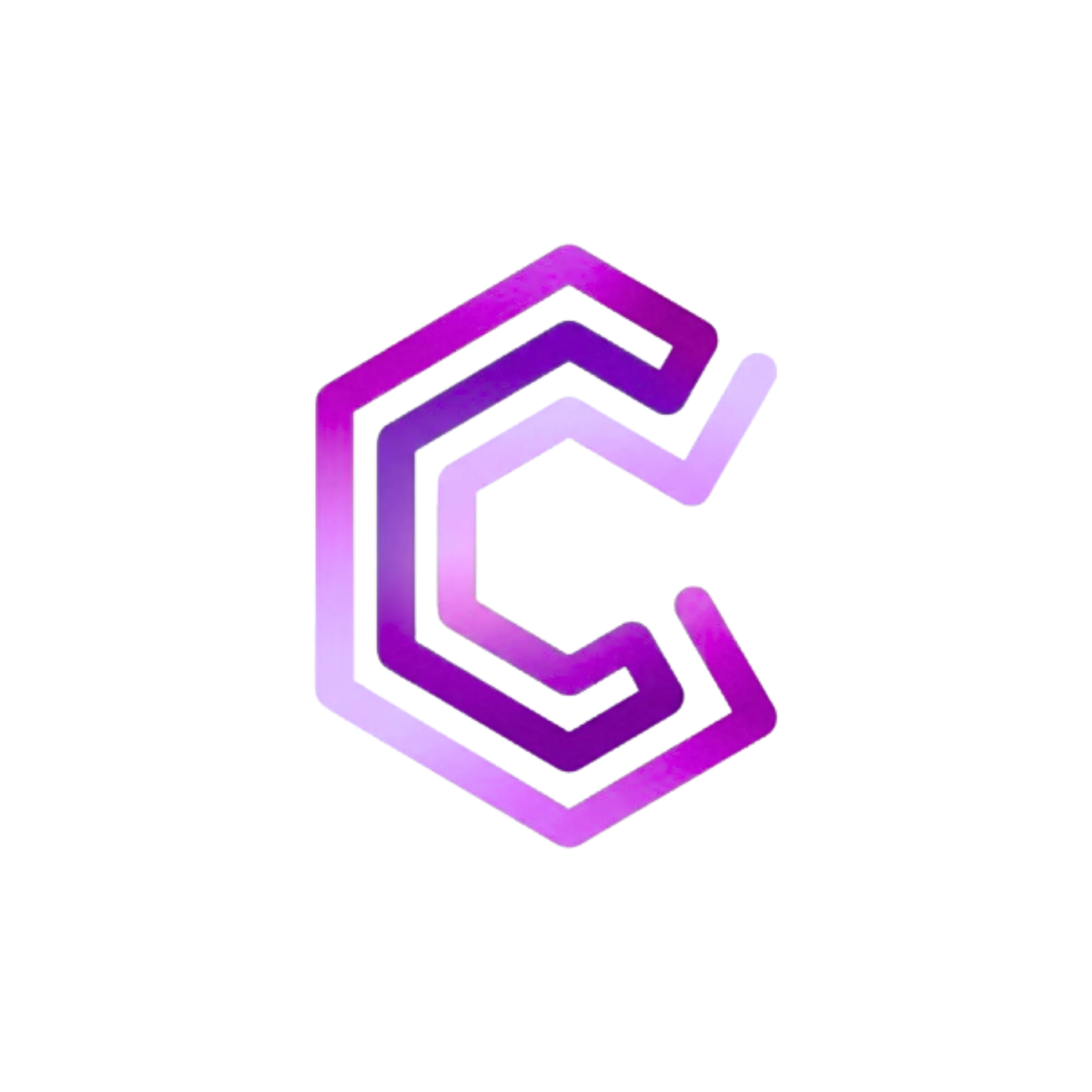 CerdasNet